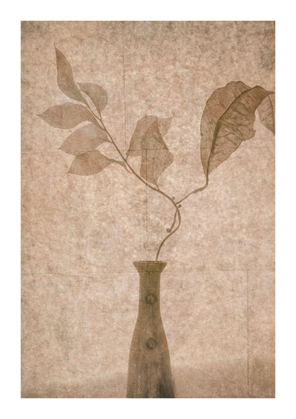 variant-21x30_with-margin