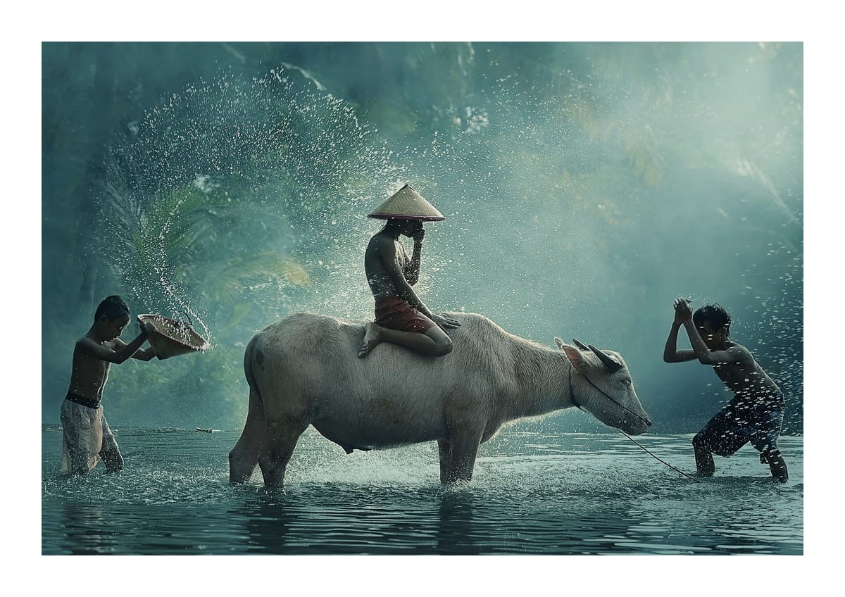variant-21x30_with-margin