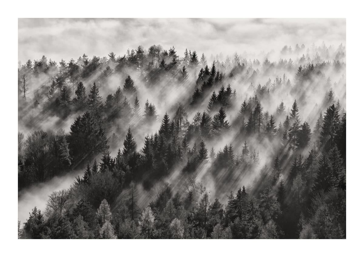 variant-21x30_with-margin