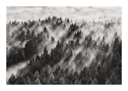 variant-21x30_with-margin