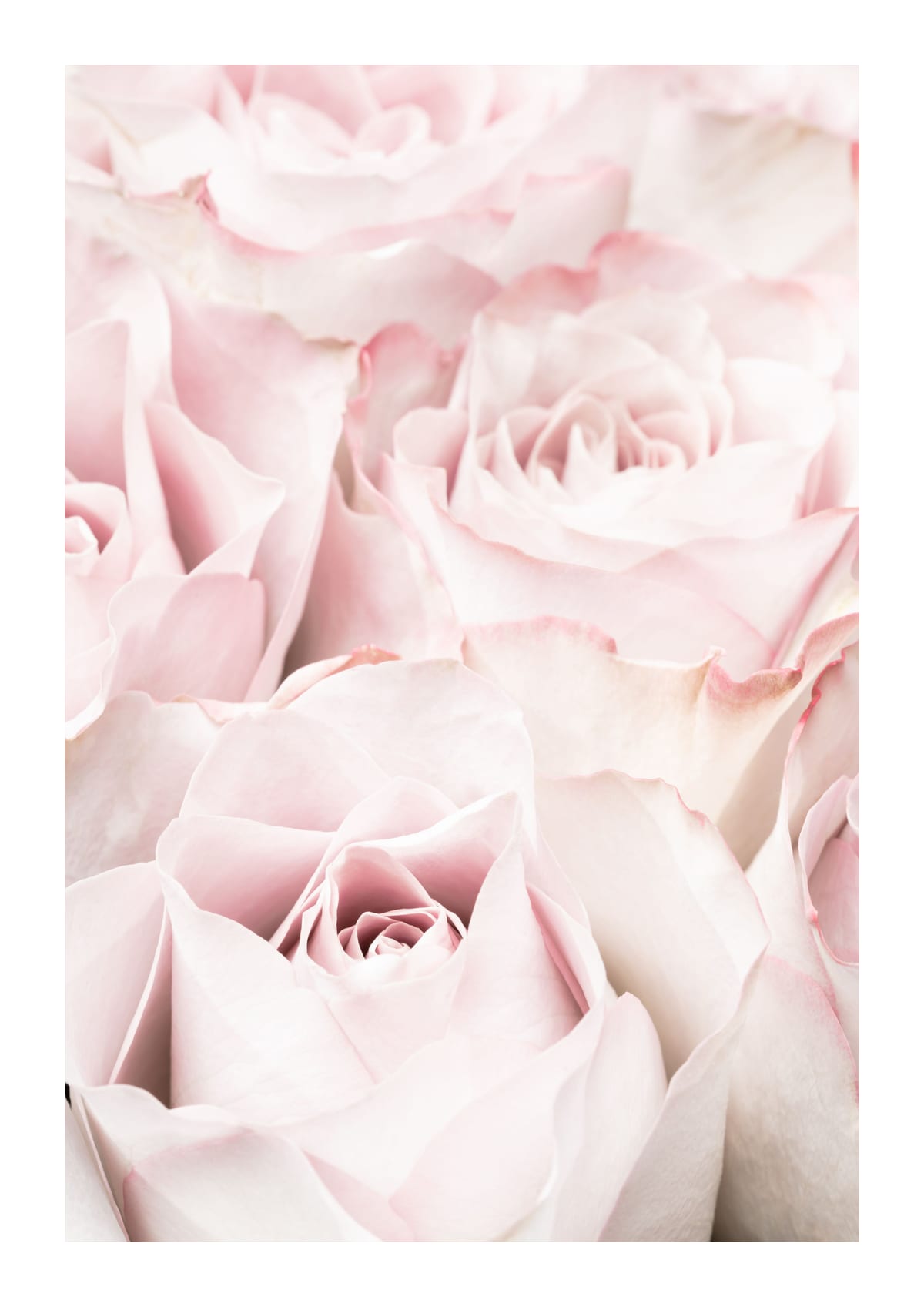 variant-21x30_with-margin