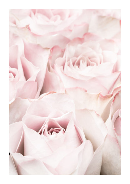 variant-21x30_with-margin