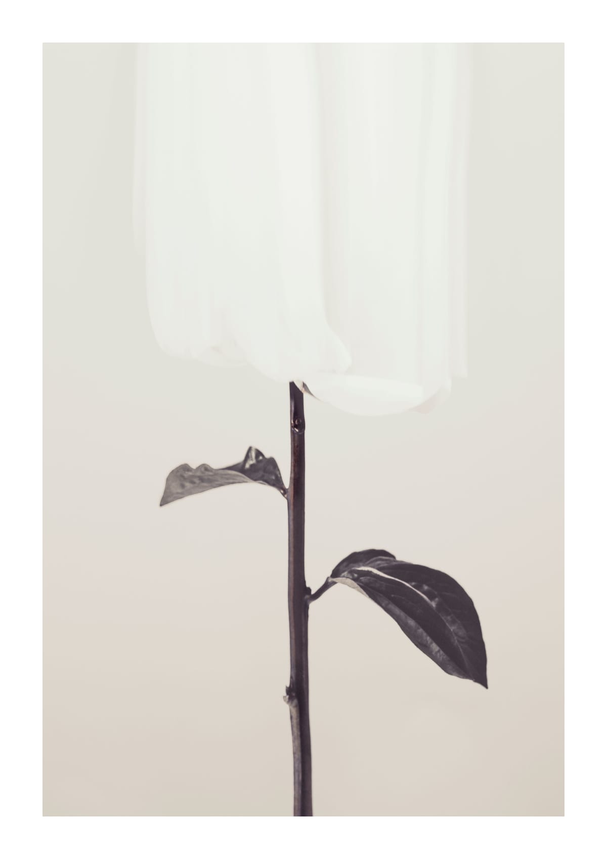 variant-21x30_with-margin