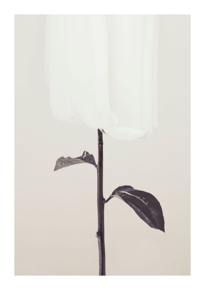 variant-21x30_with-margin