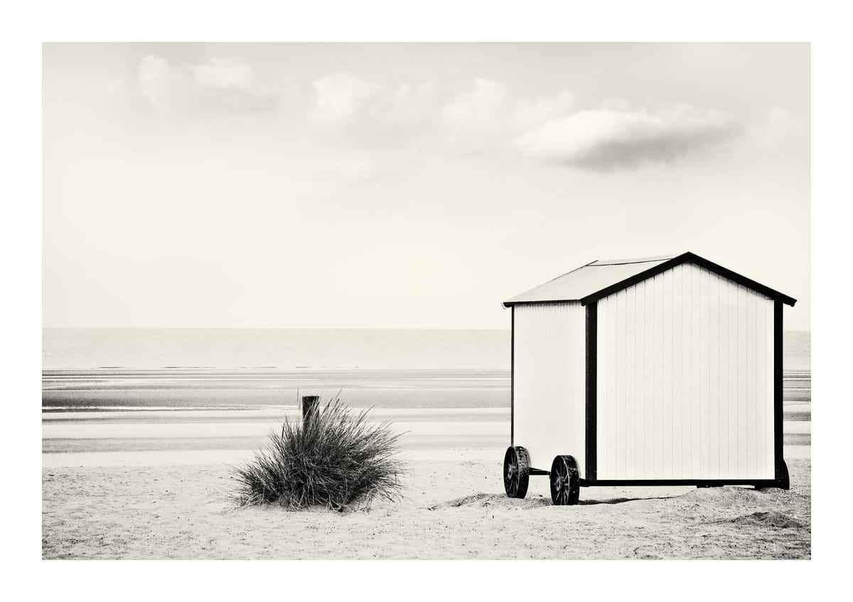 variant-21x30_with-margin