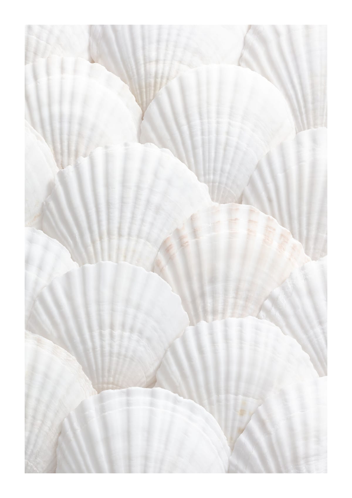 variant-21x30_with-margin