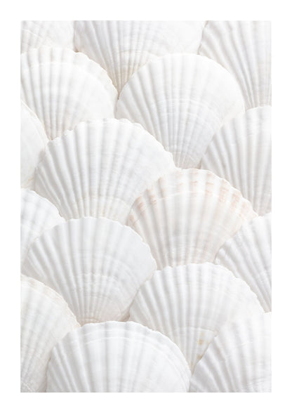 variant-21x30_with-margin