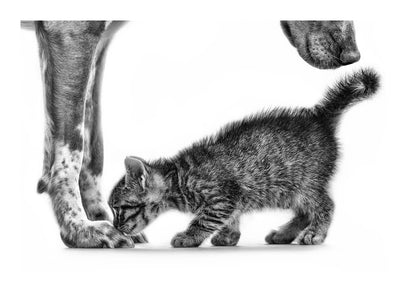 variant-21x30_with-margin