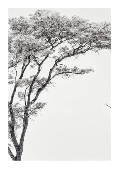 variant-21x30_with-margin