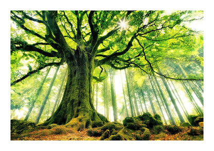 variant-21x30_with-margin