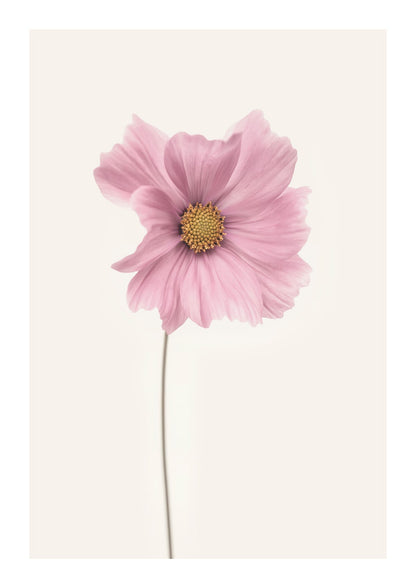 variant-21x30_with-margin