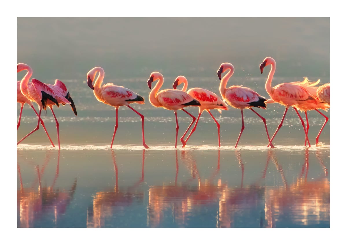 variant-21x30_with-margin