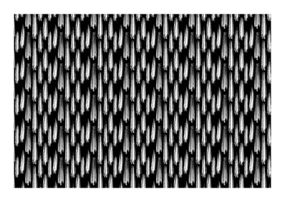 variant-21x30_with-margin