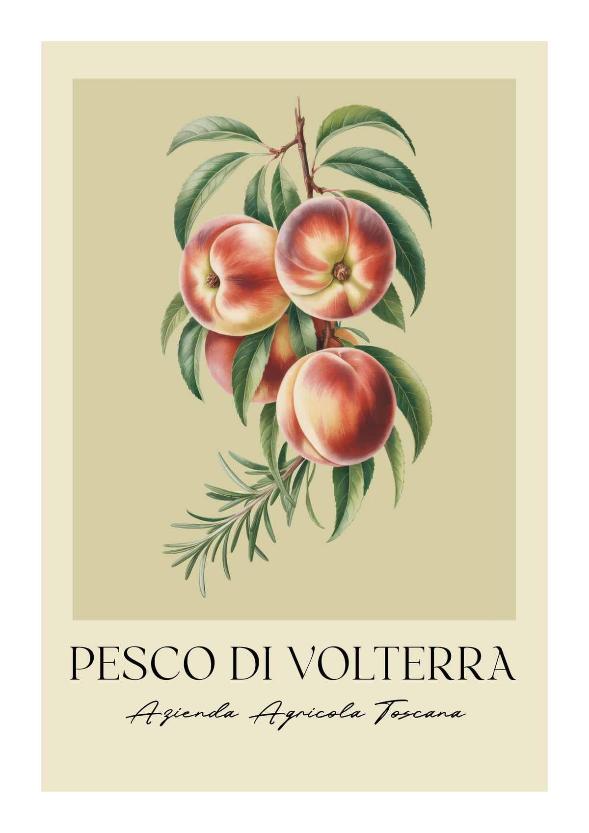 variant-21x30_with-margin