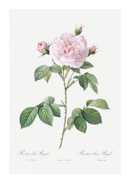 variant-21x30_with-margin