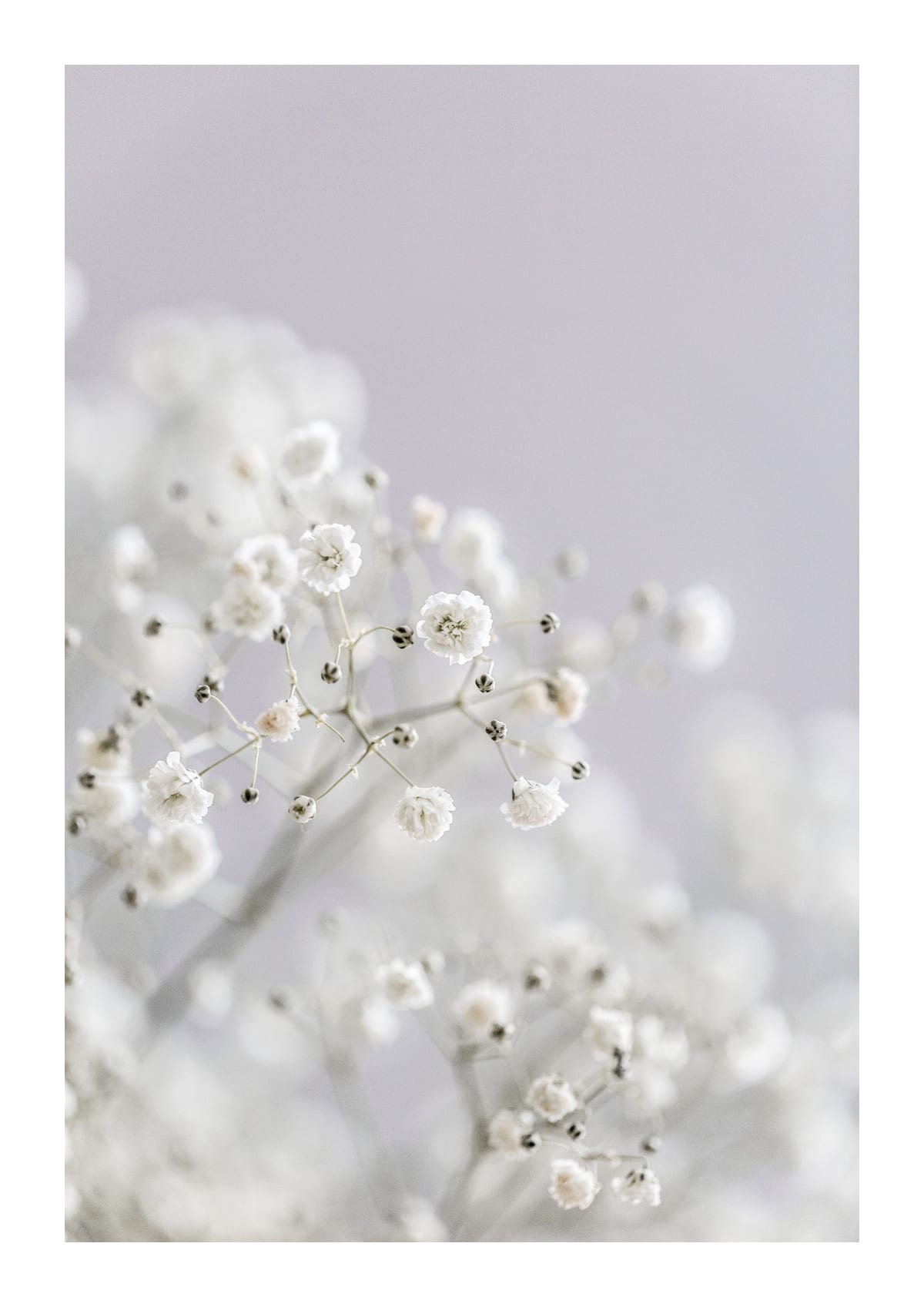 variant-21x30_with-margin