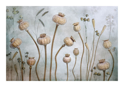 variant-21x30_with-margin