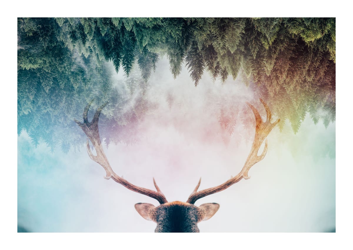 variant-21x30_with-margin