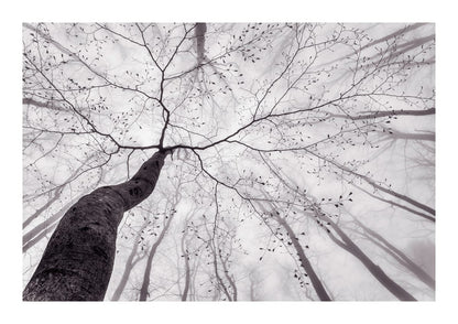 variant-21x30_with-margin