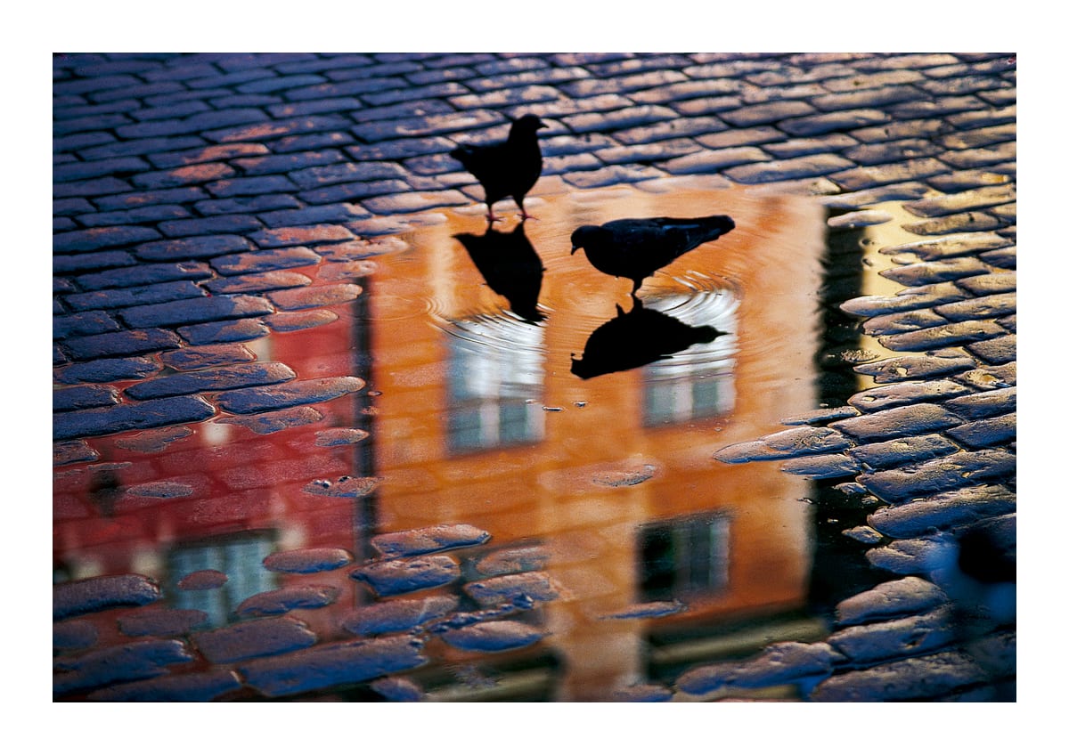 variant-21x30_with-margin