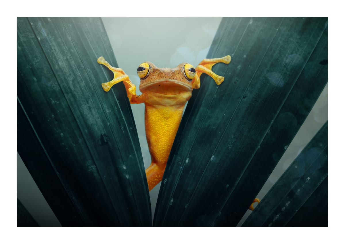 variant-21x30_with-margin