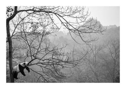 variant-21x30_with-margin