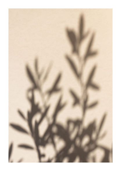 variant-21x30_with-margin