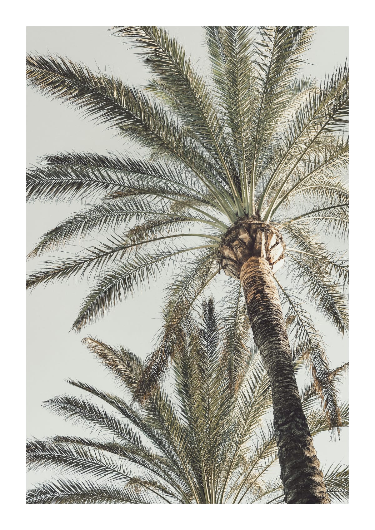variant-21x30_with-margin