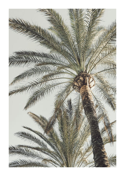variant-21x30_with-margin