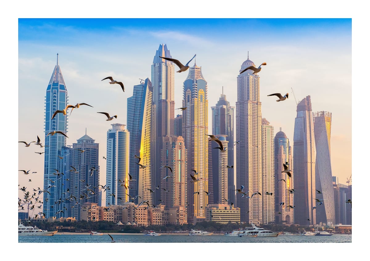 variant-21x30_with-margin