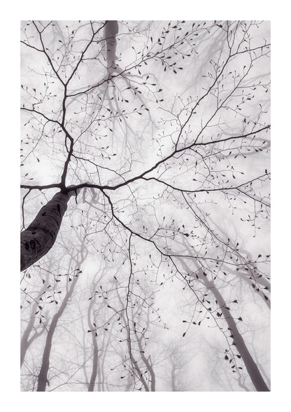 variant-21x30_with-margin