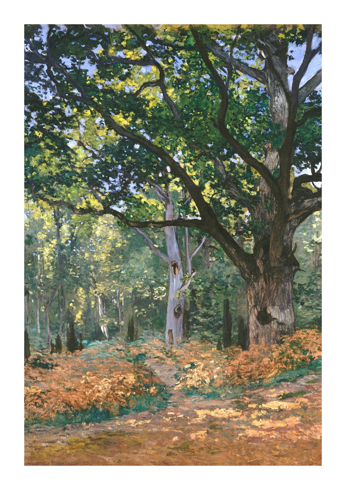 variant-21x30_with-margin