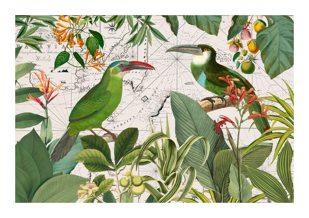 variant-21x30_with-margin