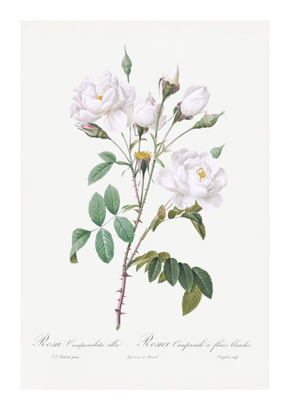 variant-21x30_with-margin