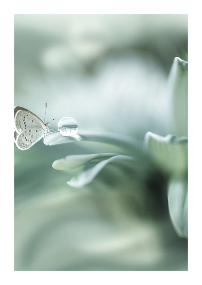 variant-21x30_with-margin