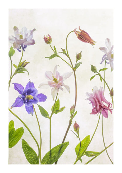 variant-21x30_with-margin