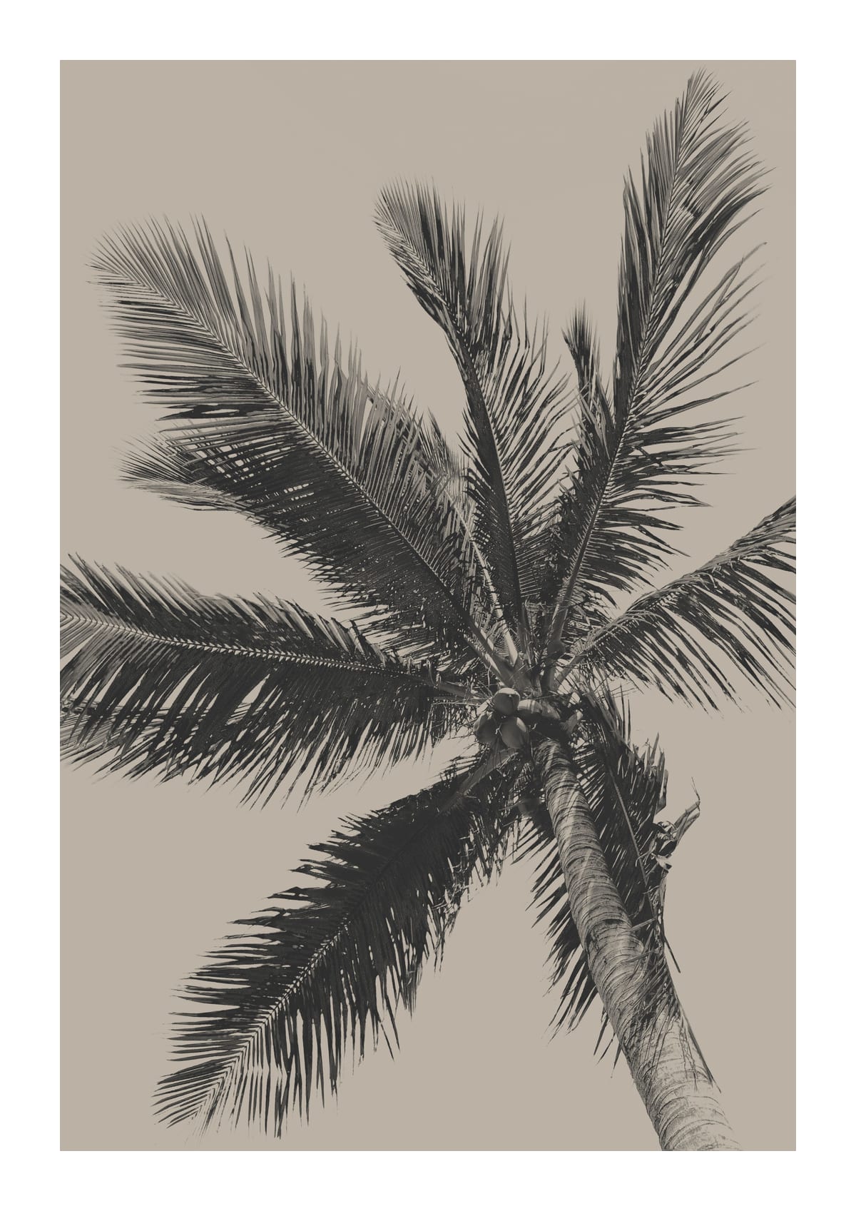 variant-21x30_with-margin
