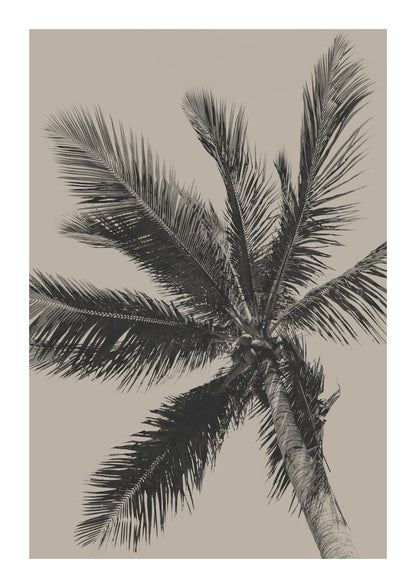 variant-21x30_with-margin
