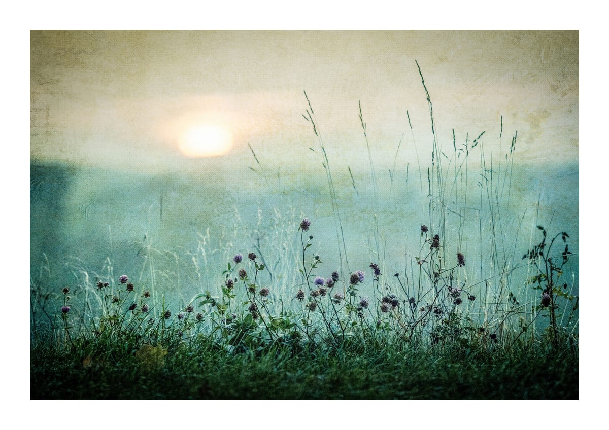 variant-21x30_with-margin