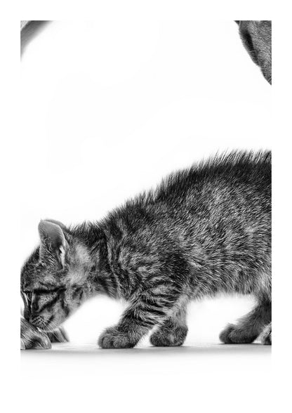 variant-21x30_with-margin