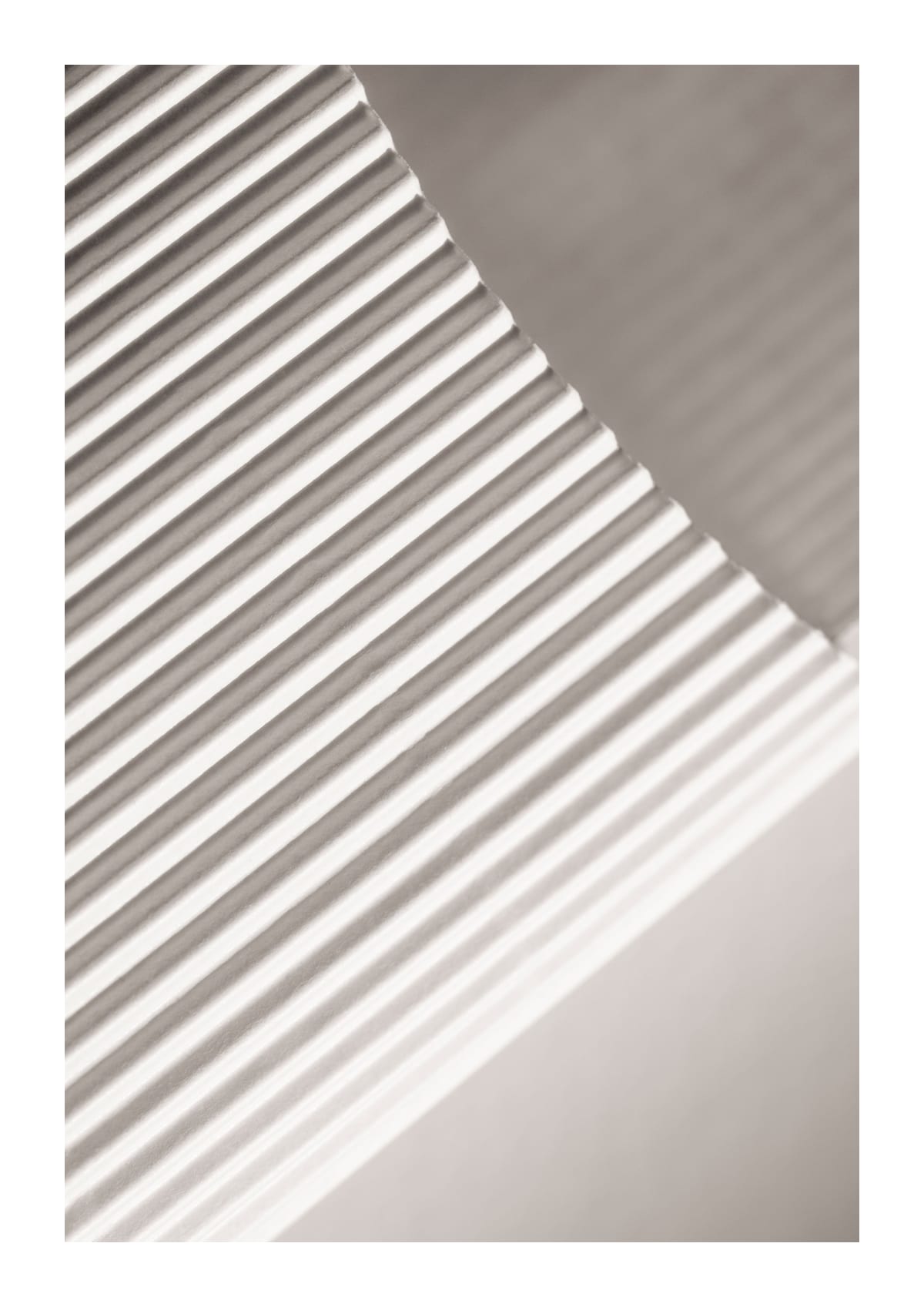 variant-21x30_with-margin