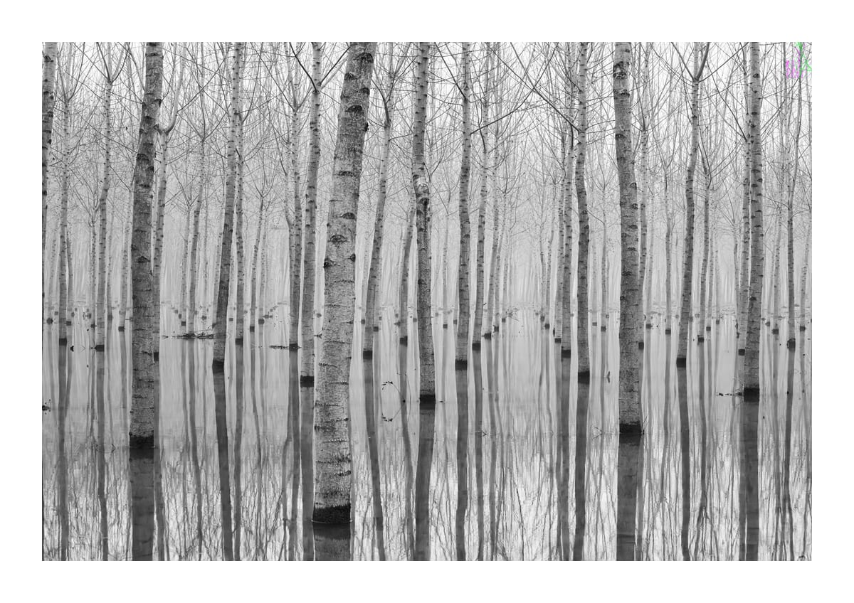 variant-21x30_with-margin