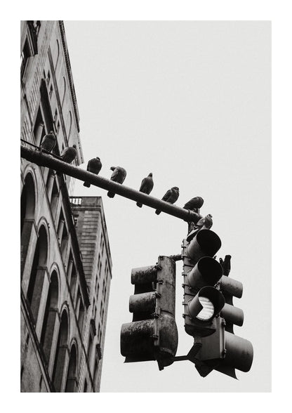 variant-21x30_with-margin