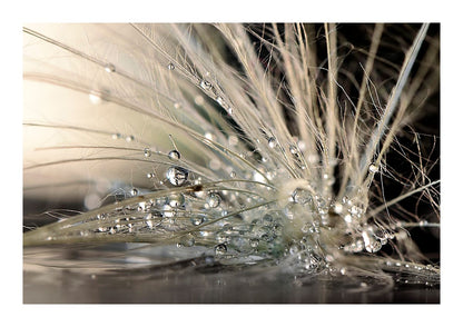variant-21x30_with-margin