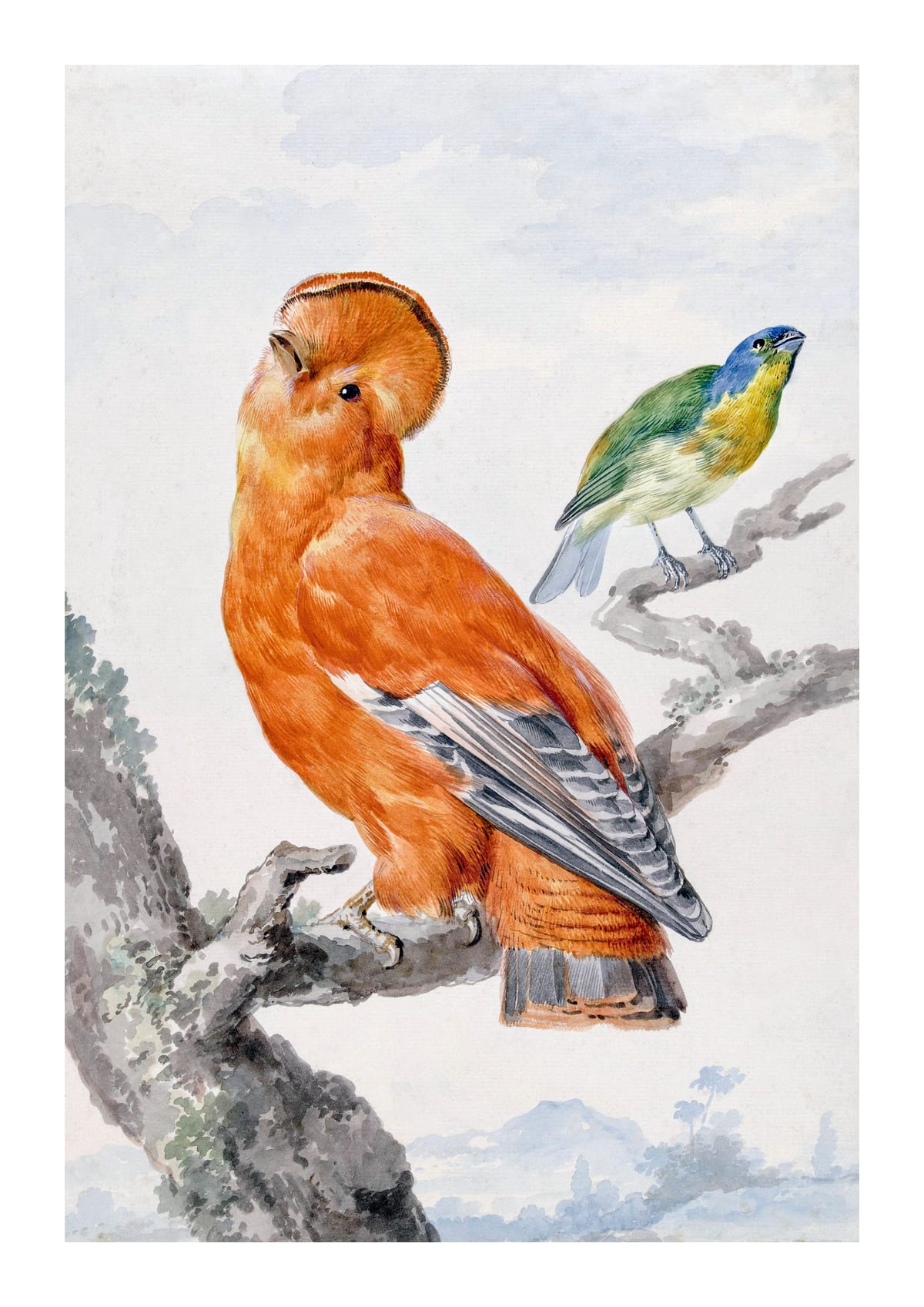 variant-21x30_with-margin