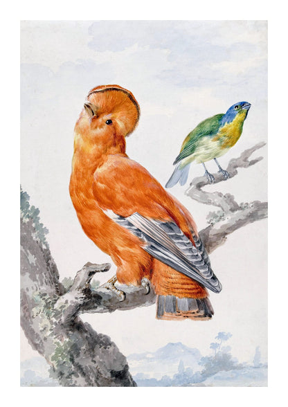 variant-21x30_with-margin