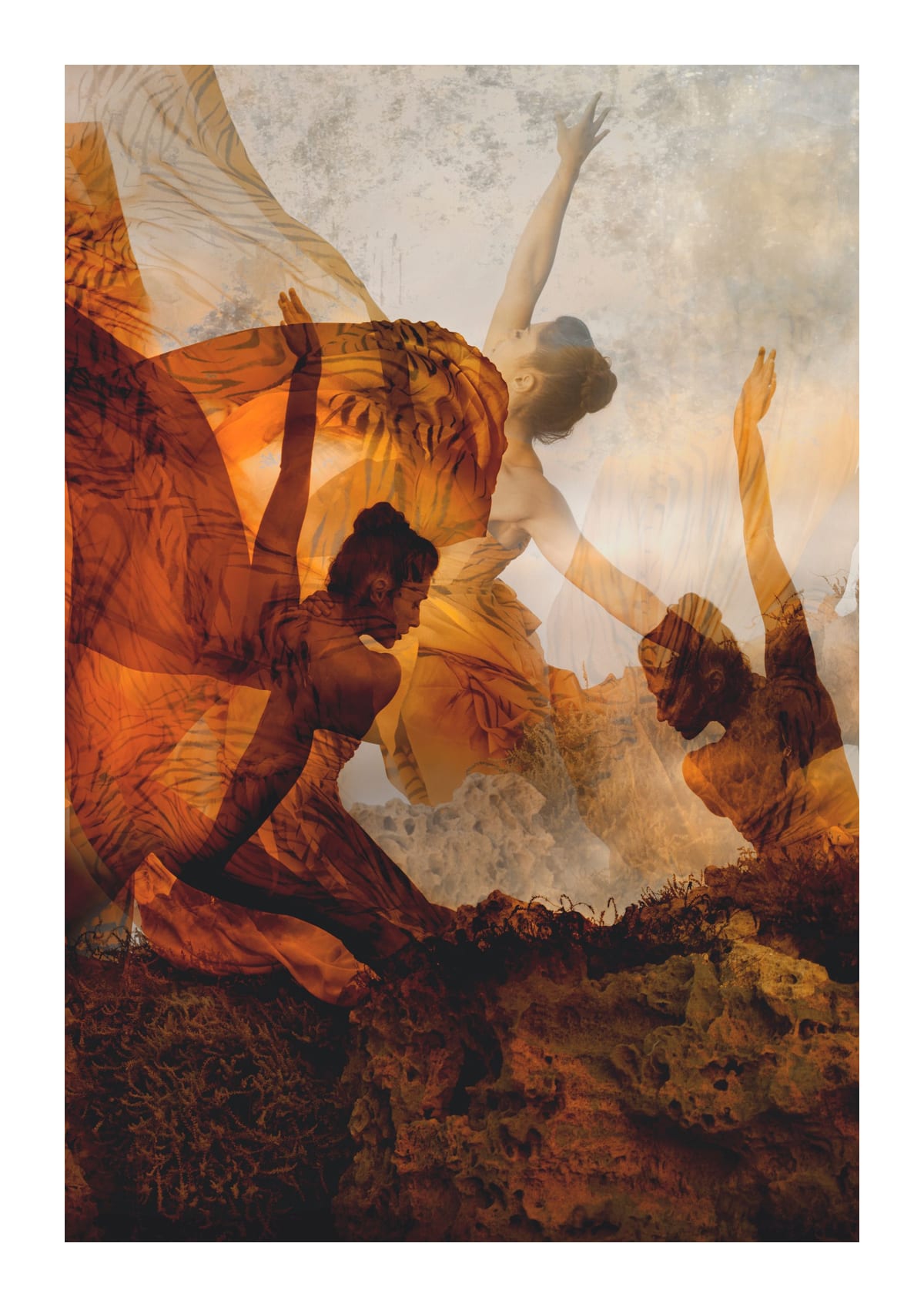 variant-21x30_with-margin