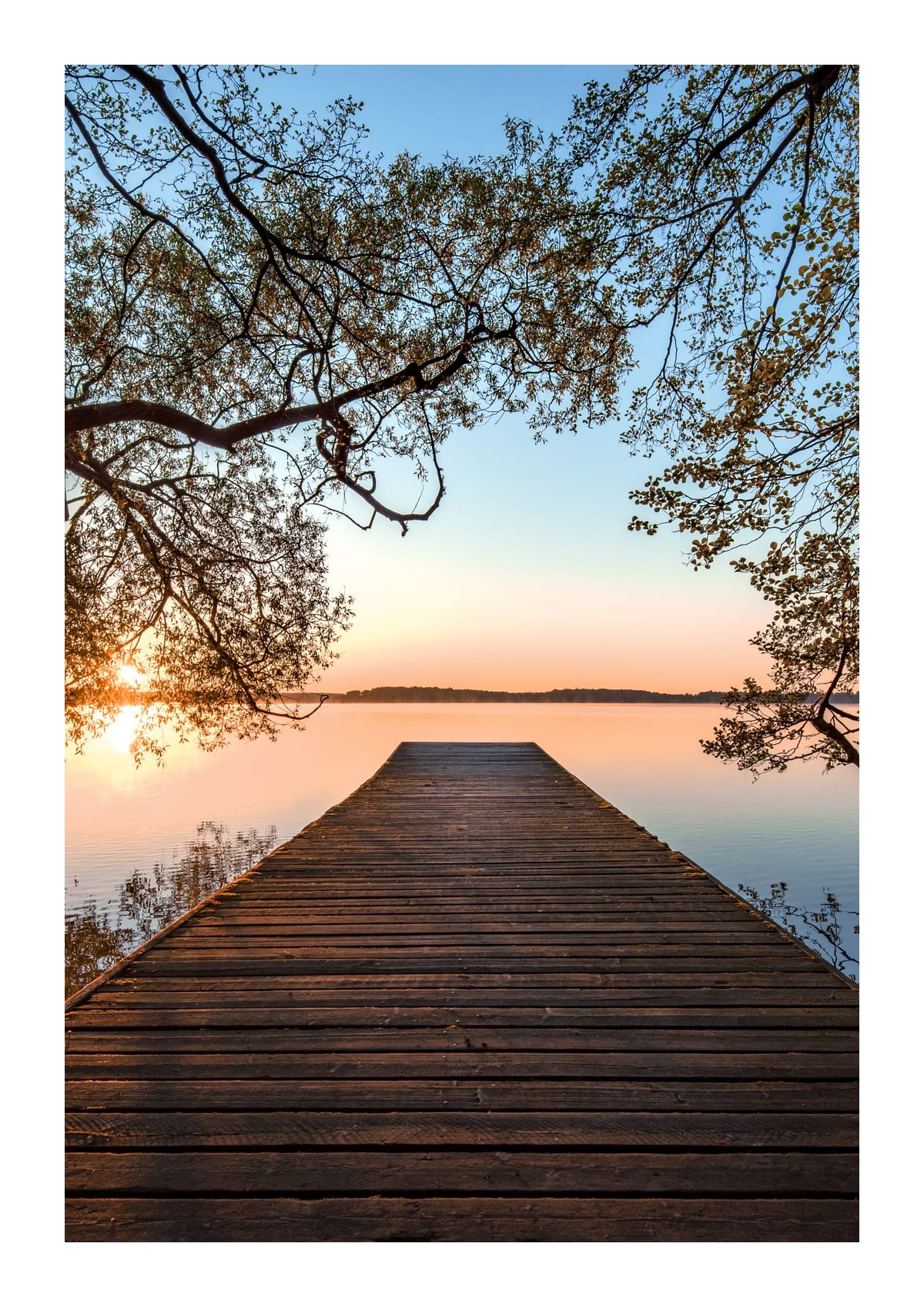 variant-21x30_with-margin