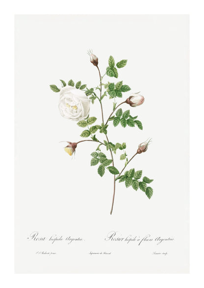 variant-21x30_with-margin