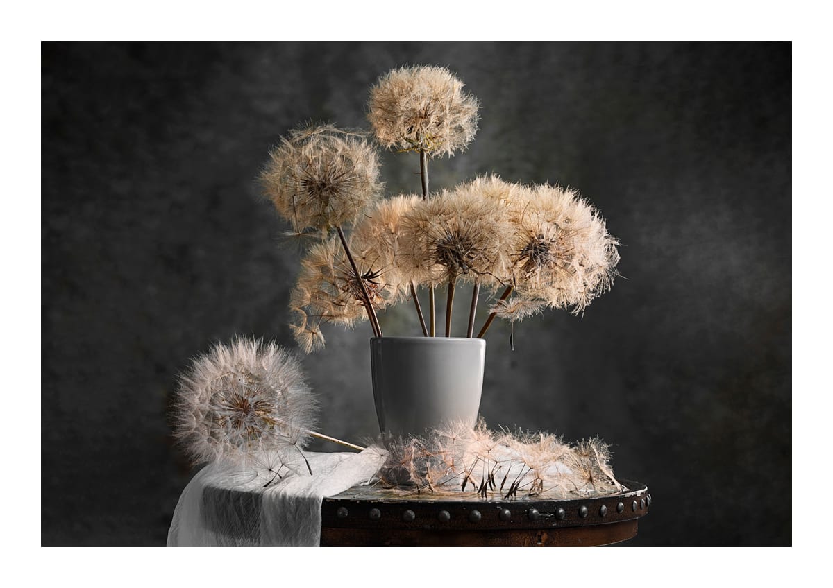 variant-21x30_with-margin